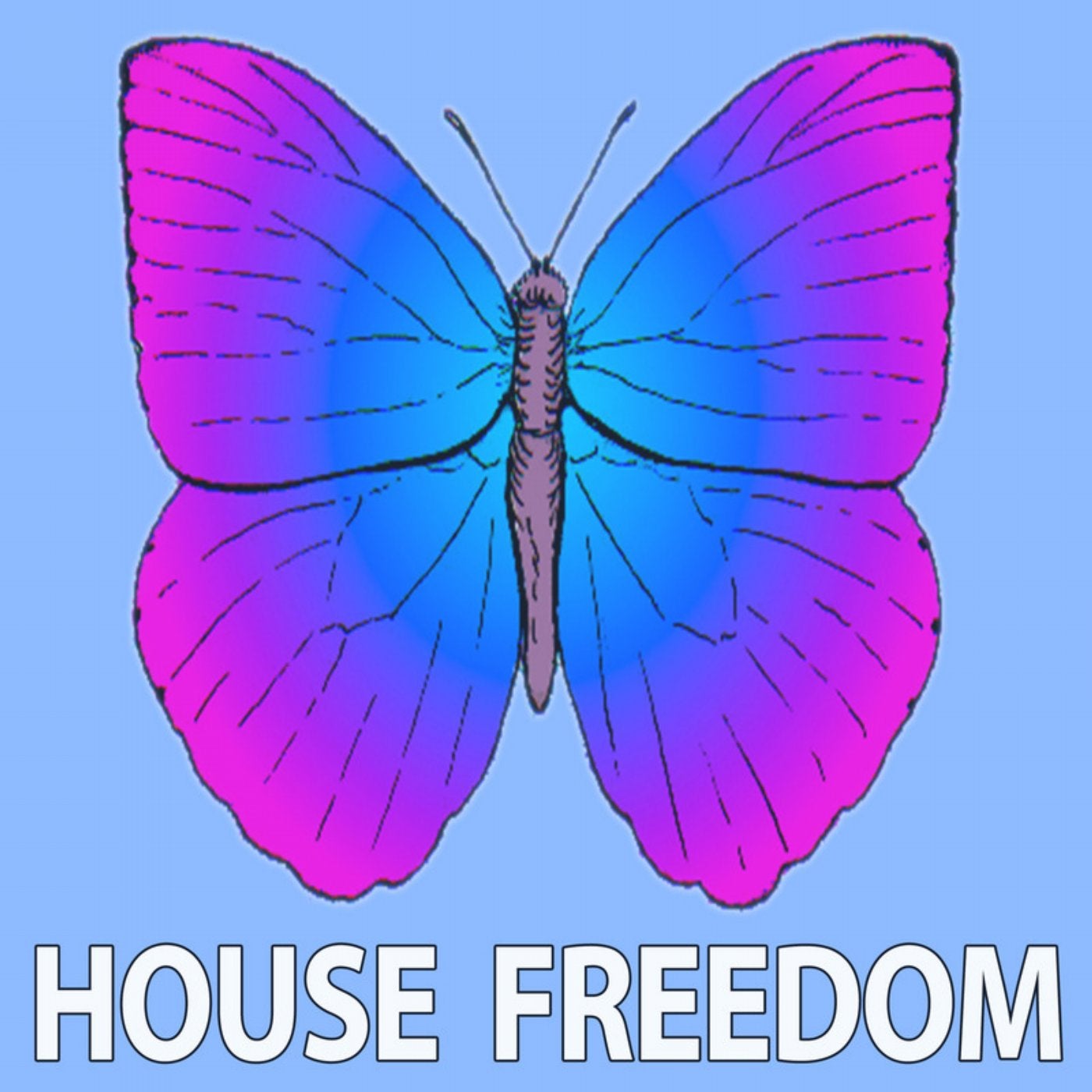 Drop of House
