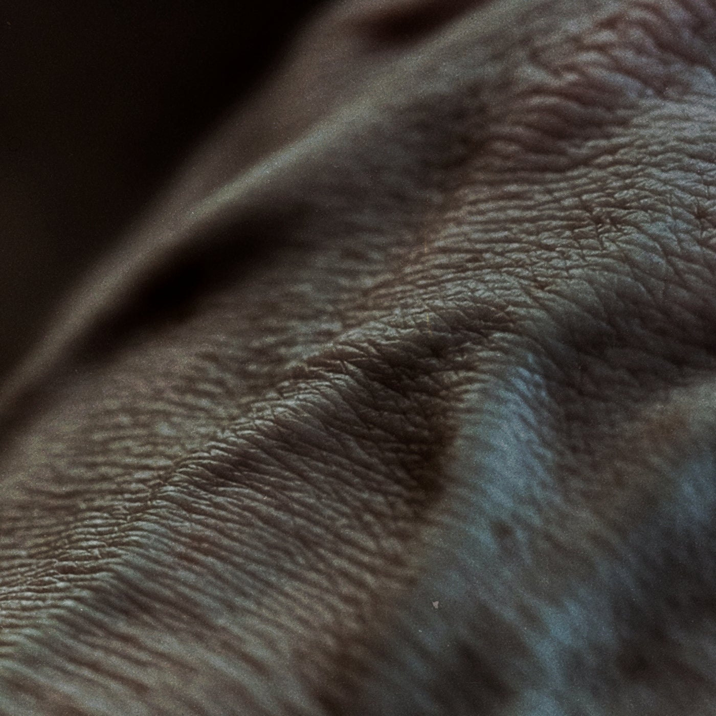 Nested Skins