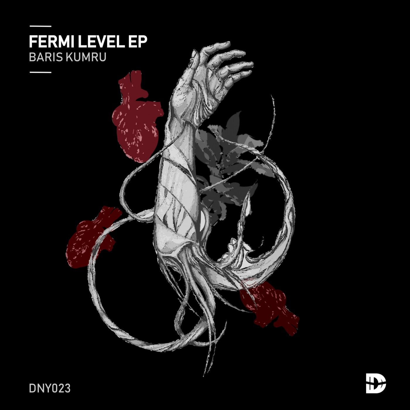 Fermi Level EP