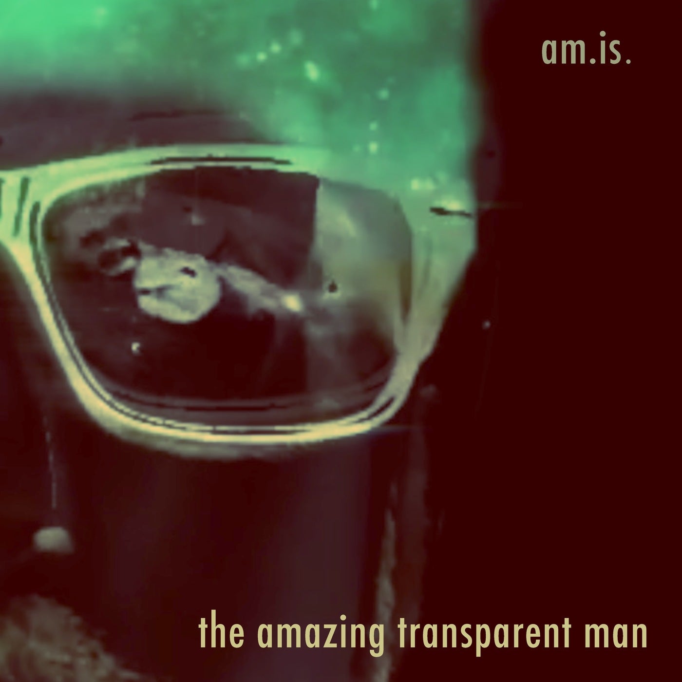 The Amazing Transparent Man