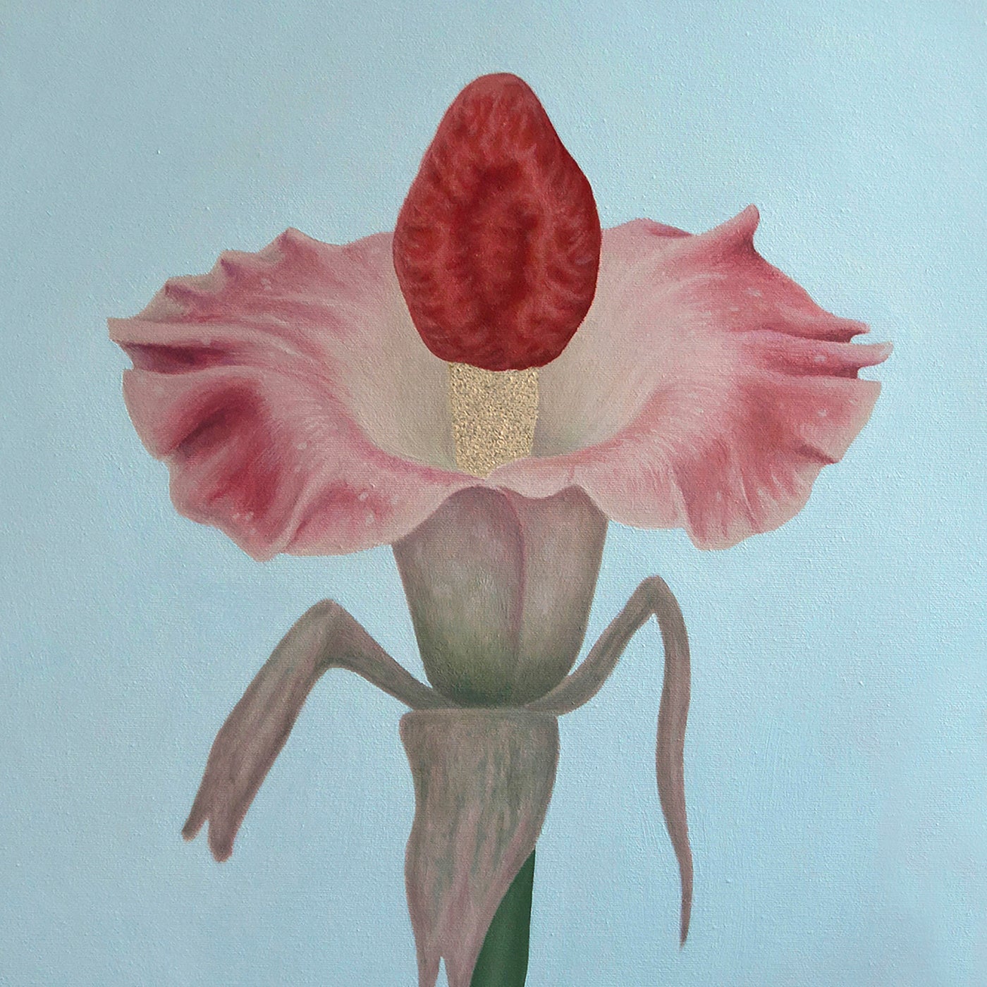 The Revenge of the Amorphophallus