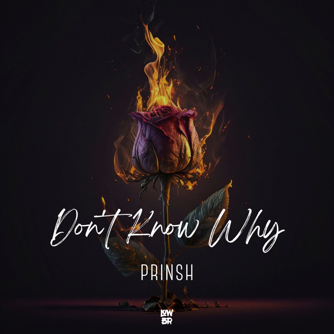 Don't Know Why (Extended Mix)