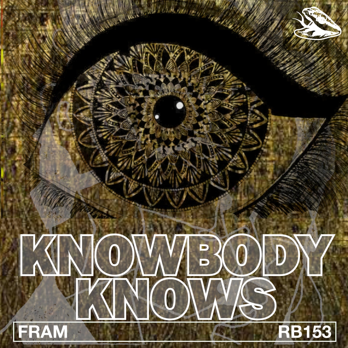 Knowbody Knows