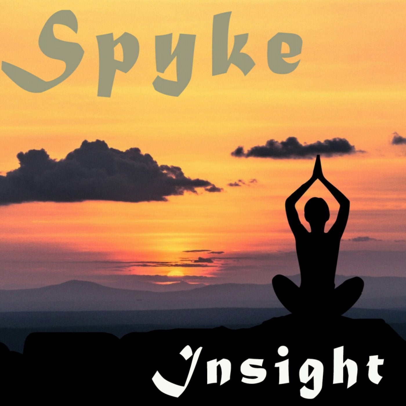 Insight