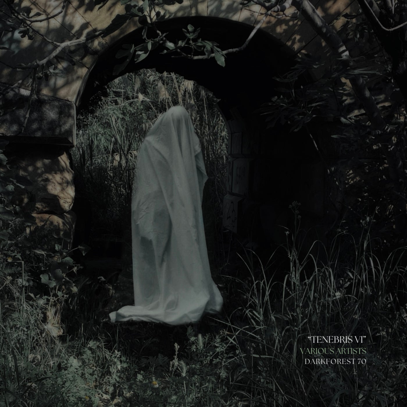 Tenebris VI