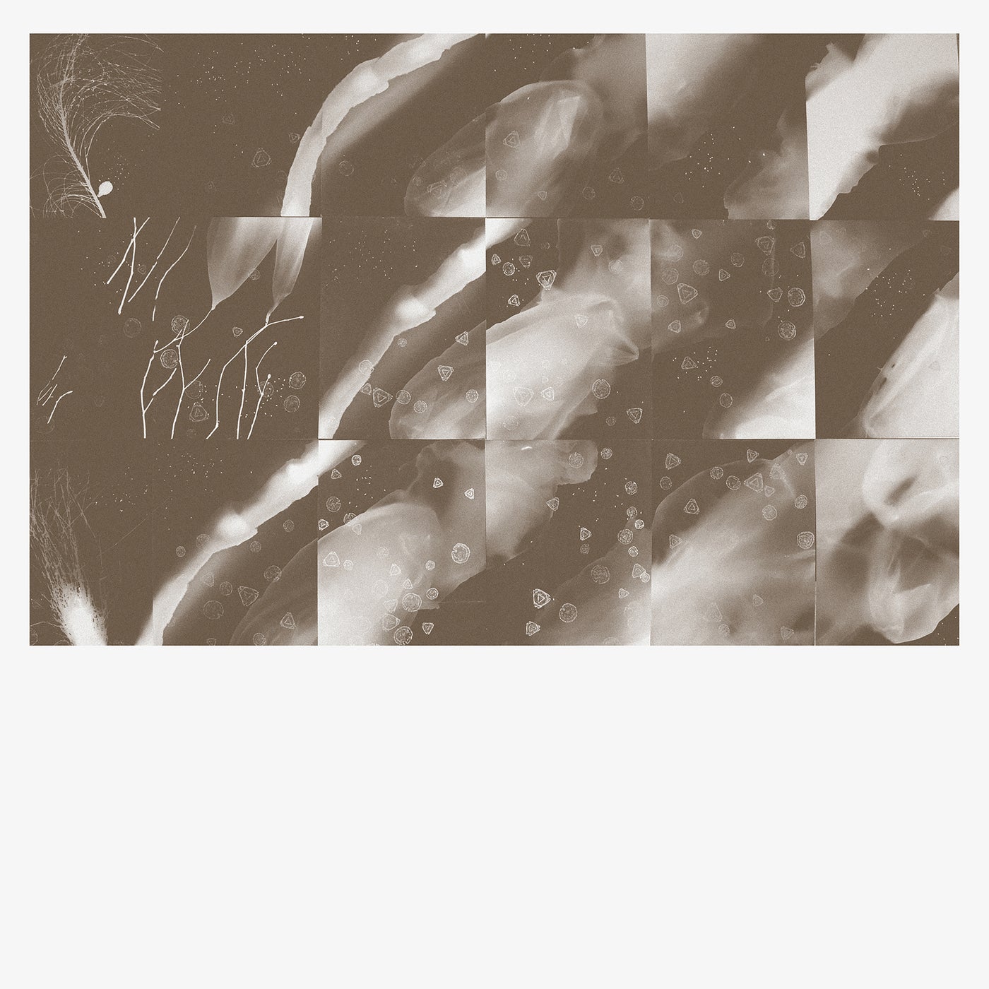 Cover art for For a Moment the Sky Knew My Name