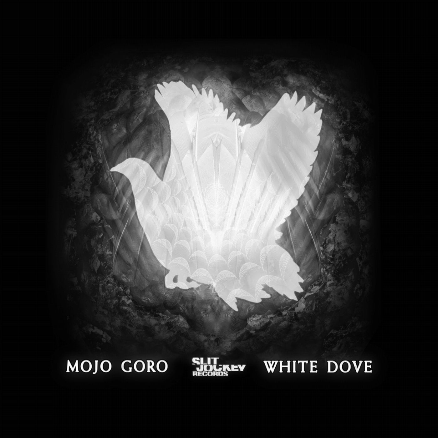 White Dove