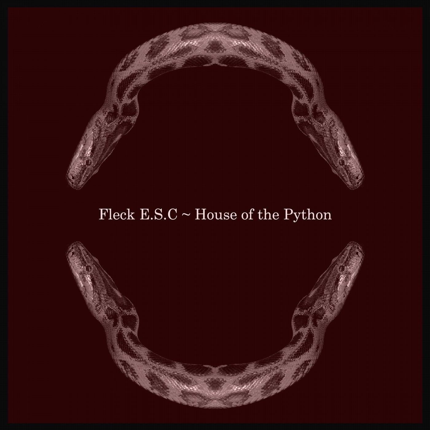 House of the Python