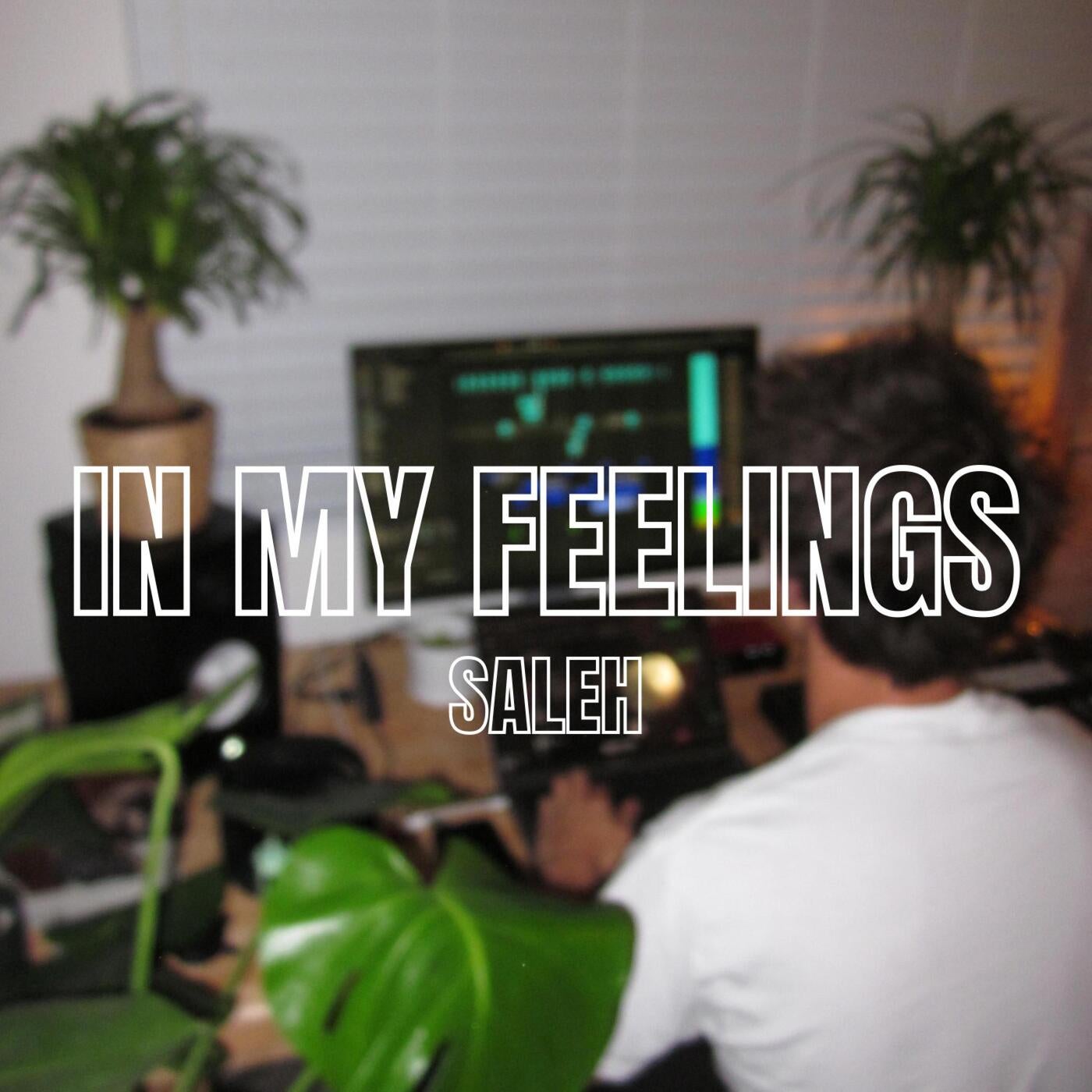 In My Feelings (Extended Mix)