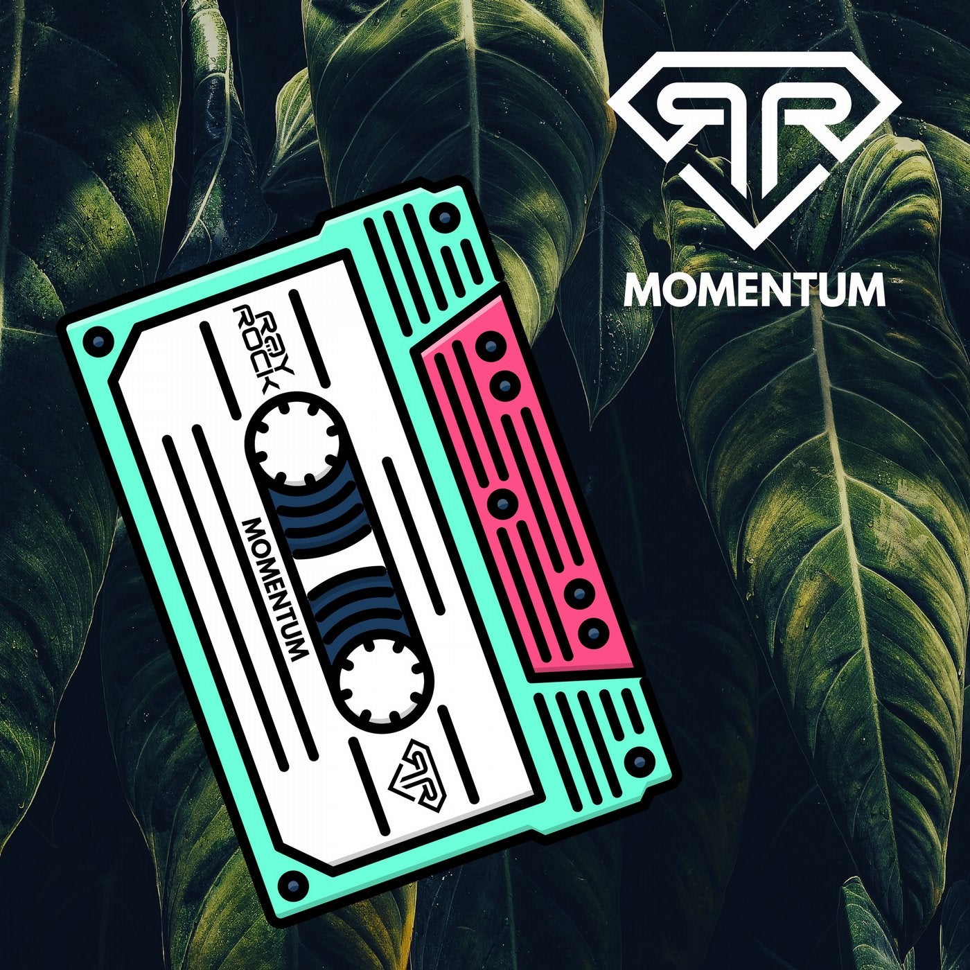 Momentum