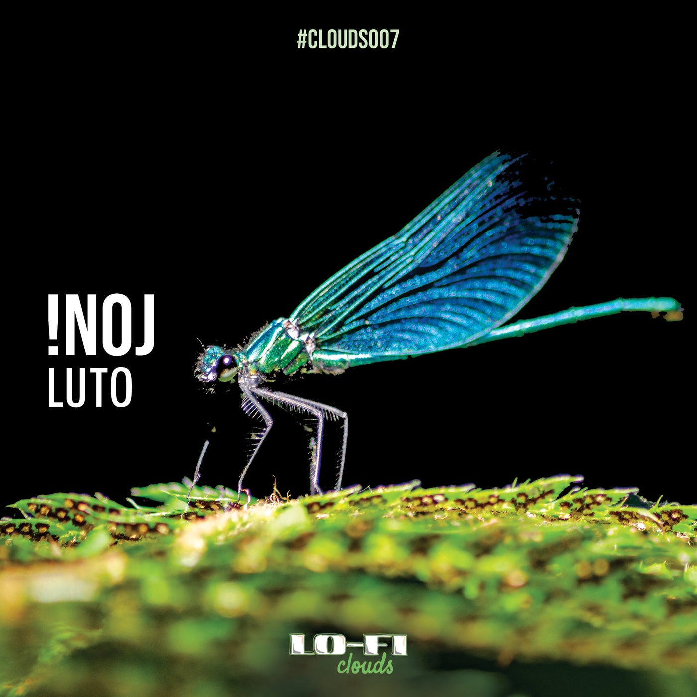 Luto