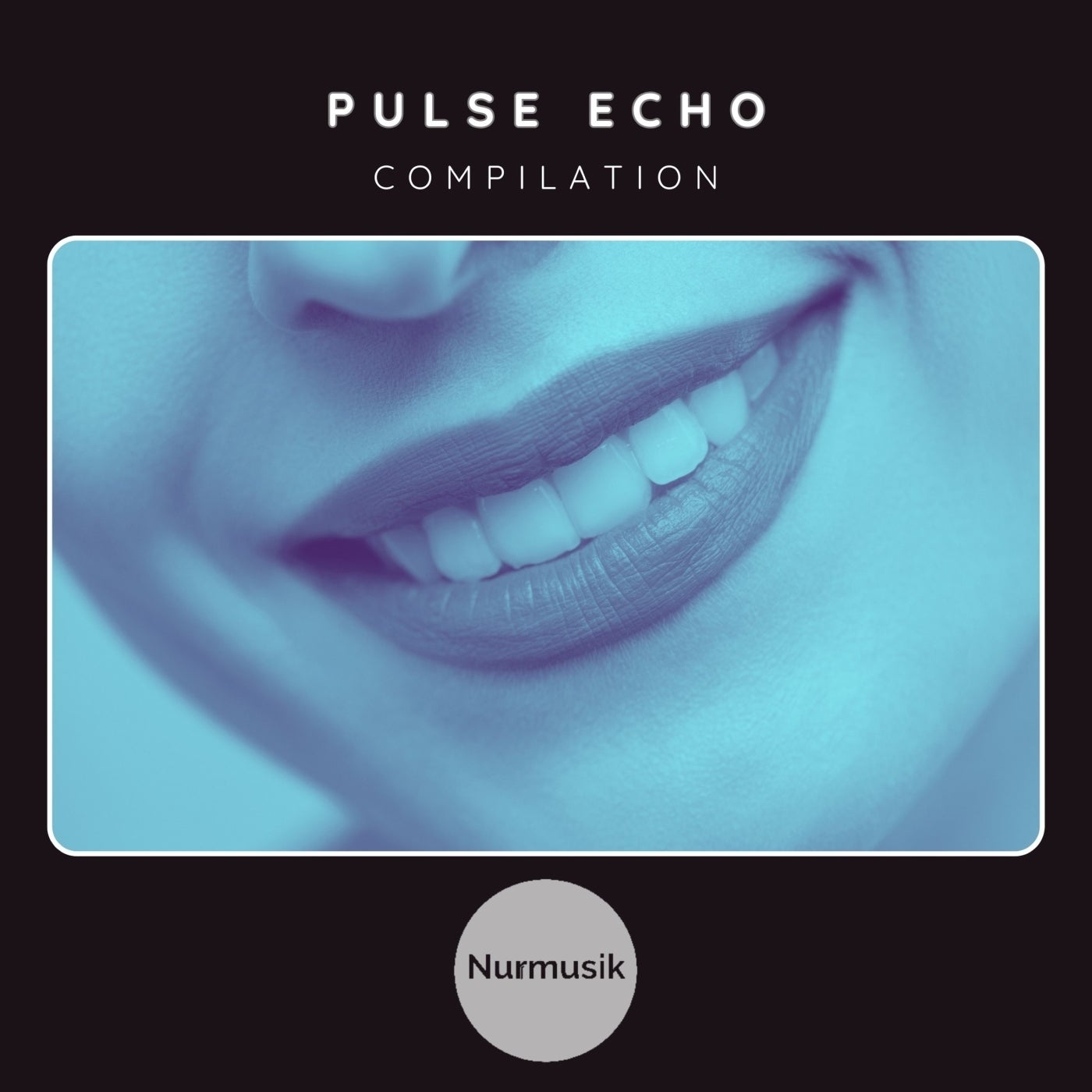 Pulse Echo