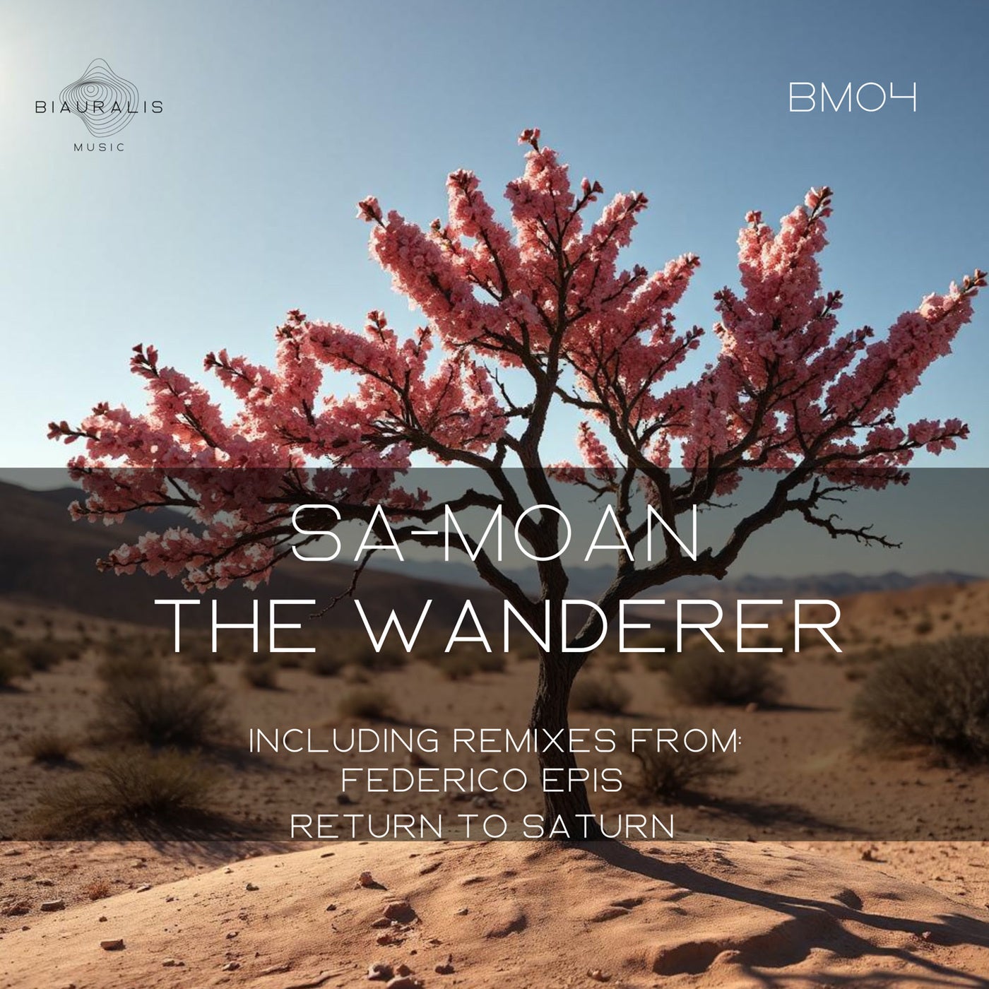 The Wanderer