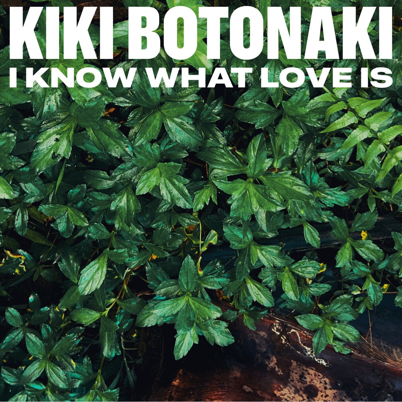 I know what love is