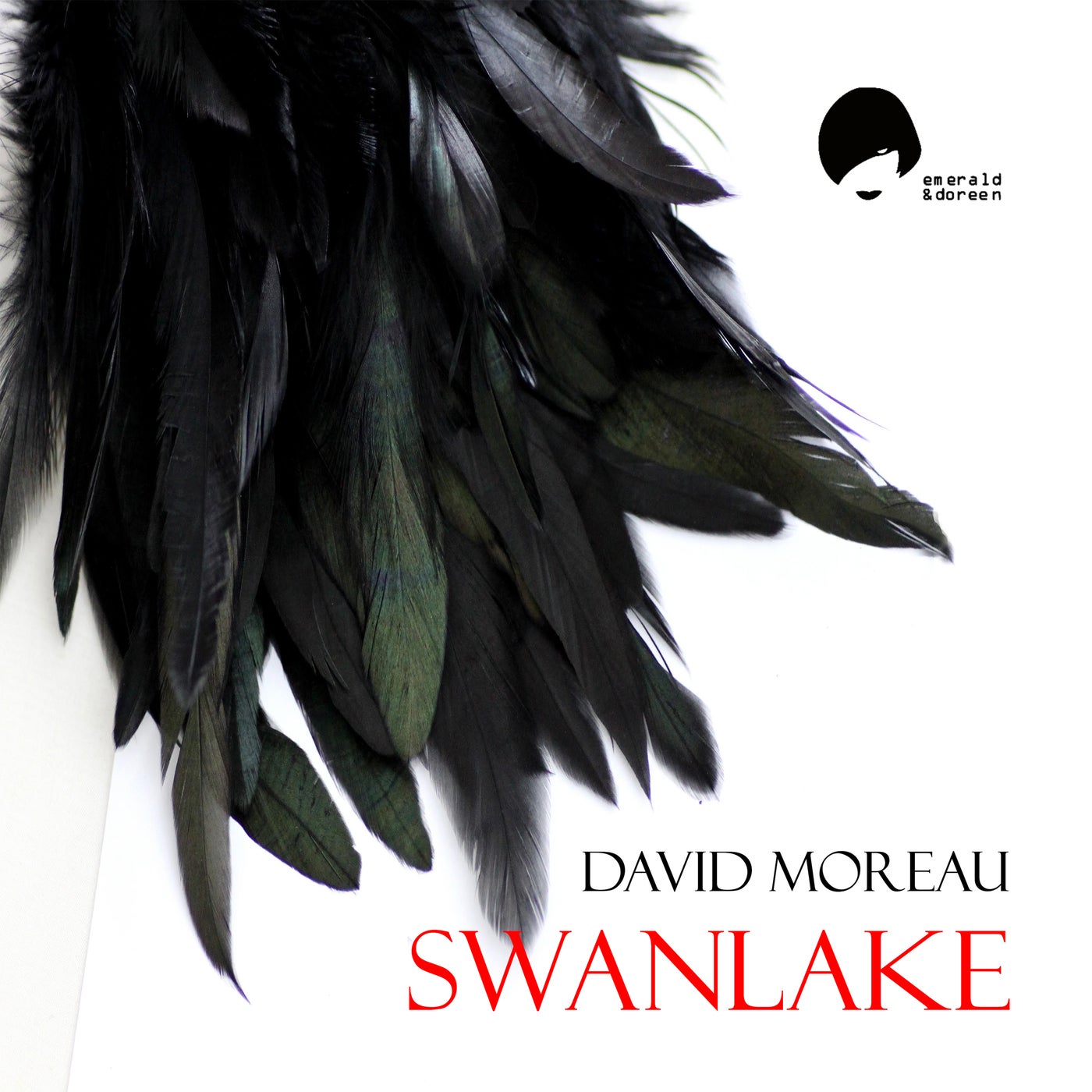 Swanlake