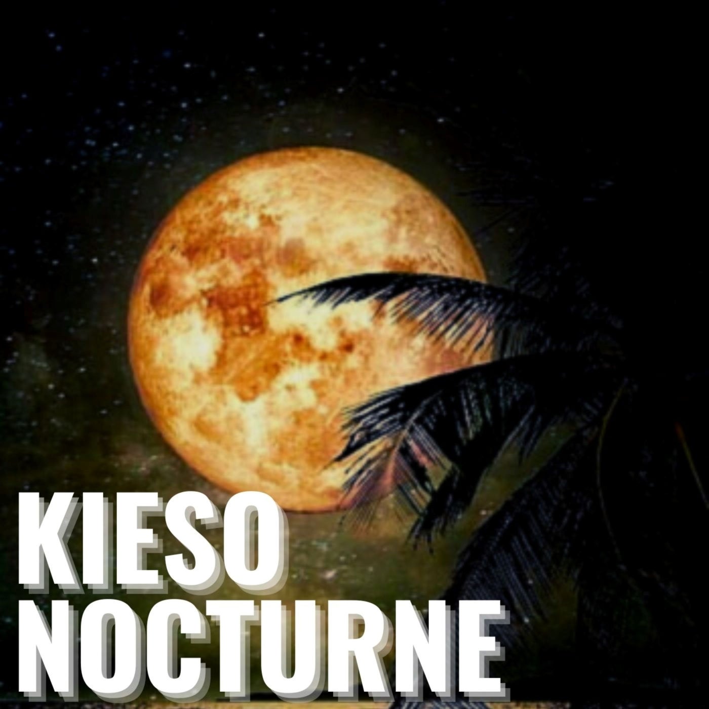 Kieso Nocturne