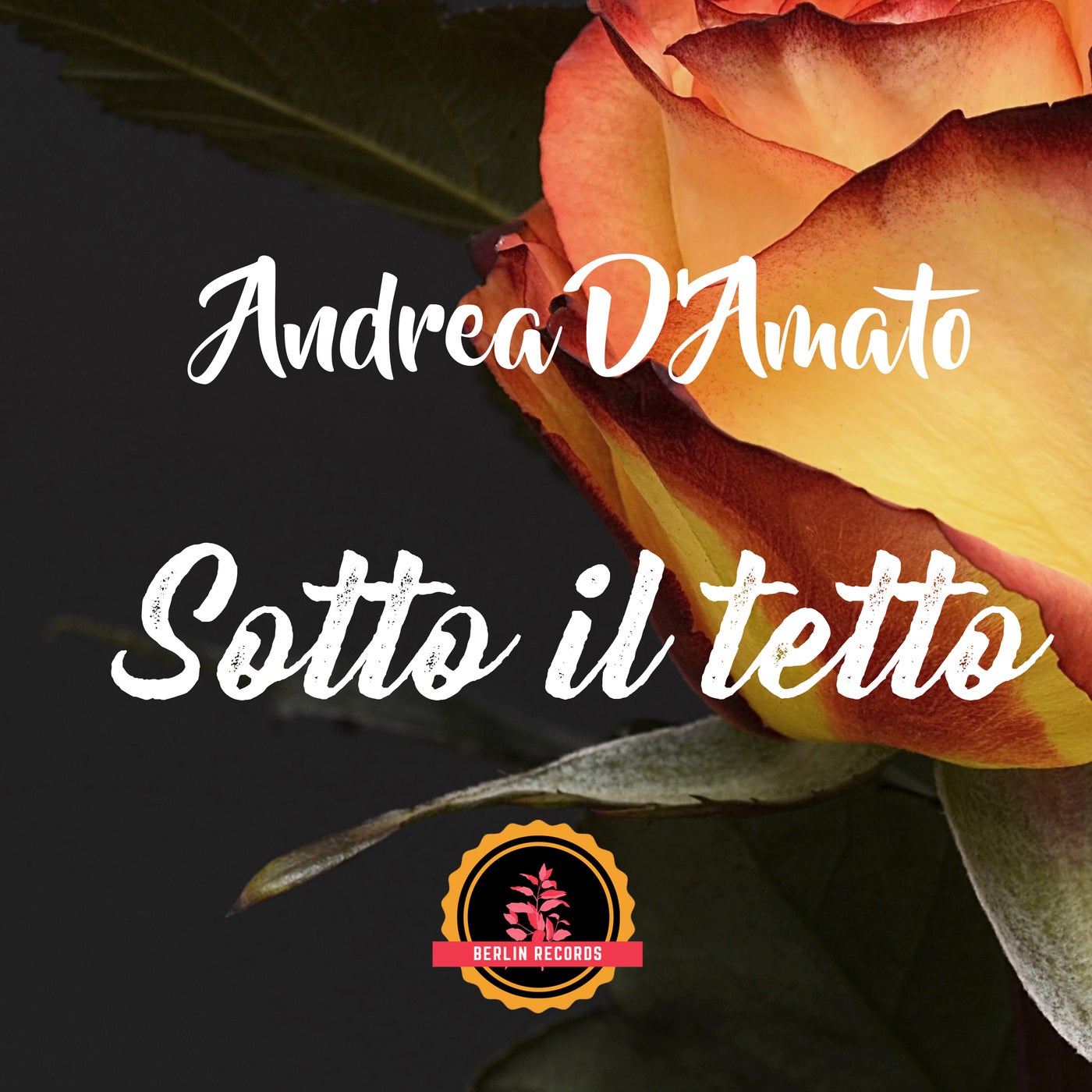 Sotto il tetto