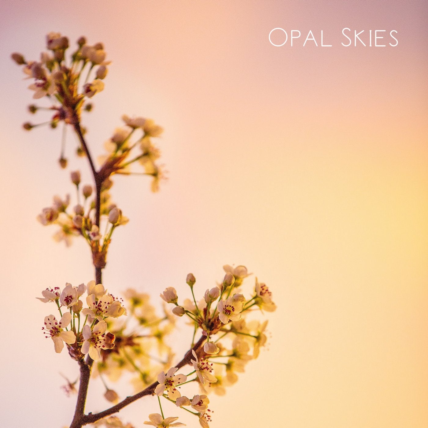 Opal Skies
