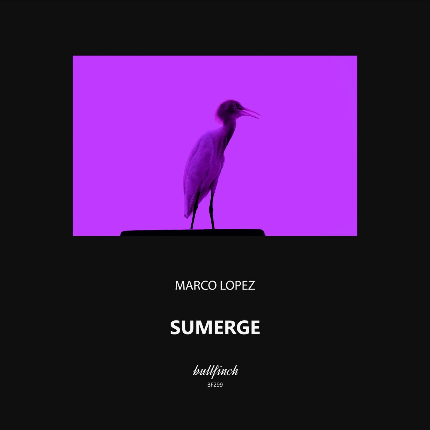 Sumerge