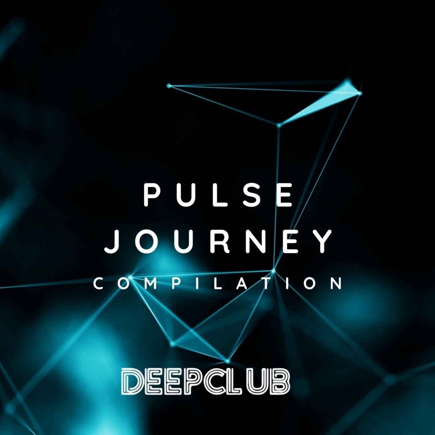 Pulse Journey