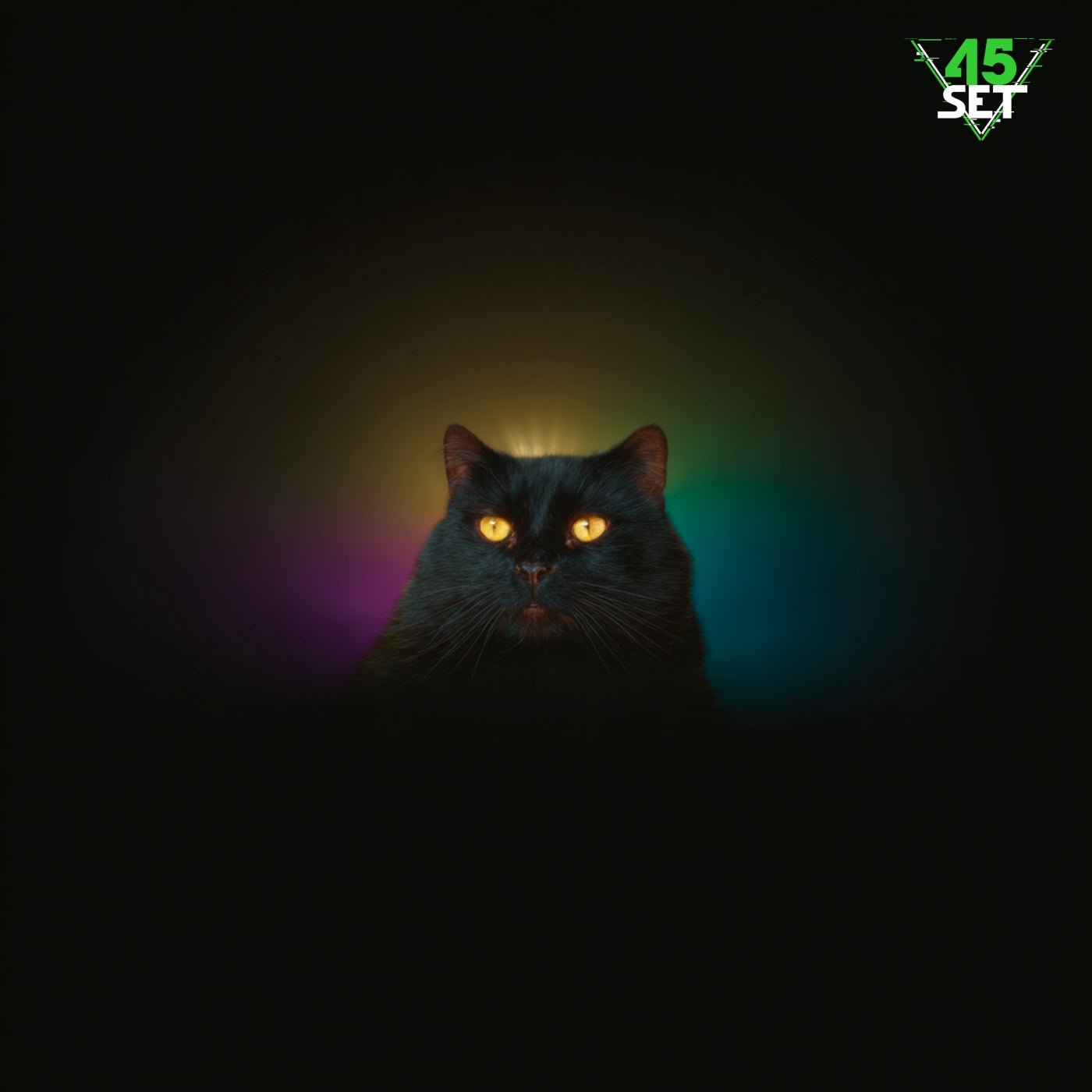 Black Cat Deep