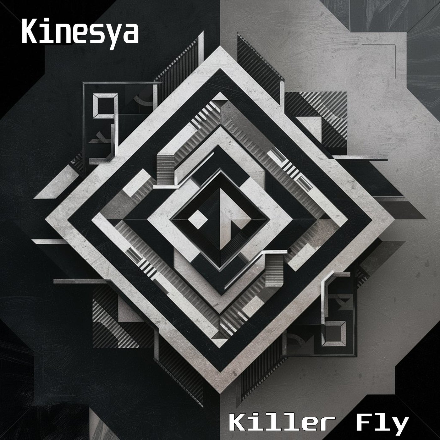 Killer Fly