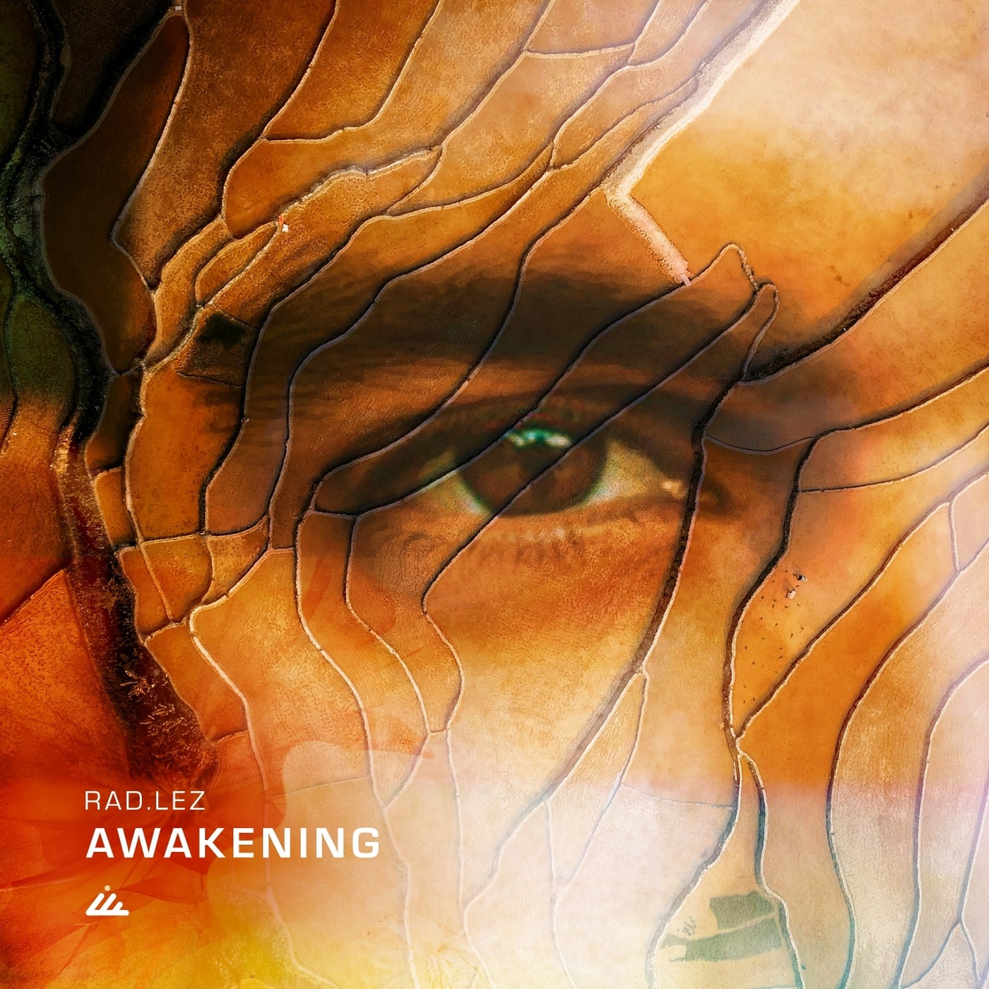 Awakening