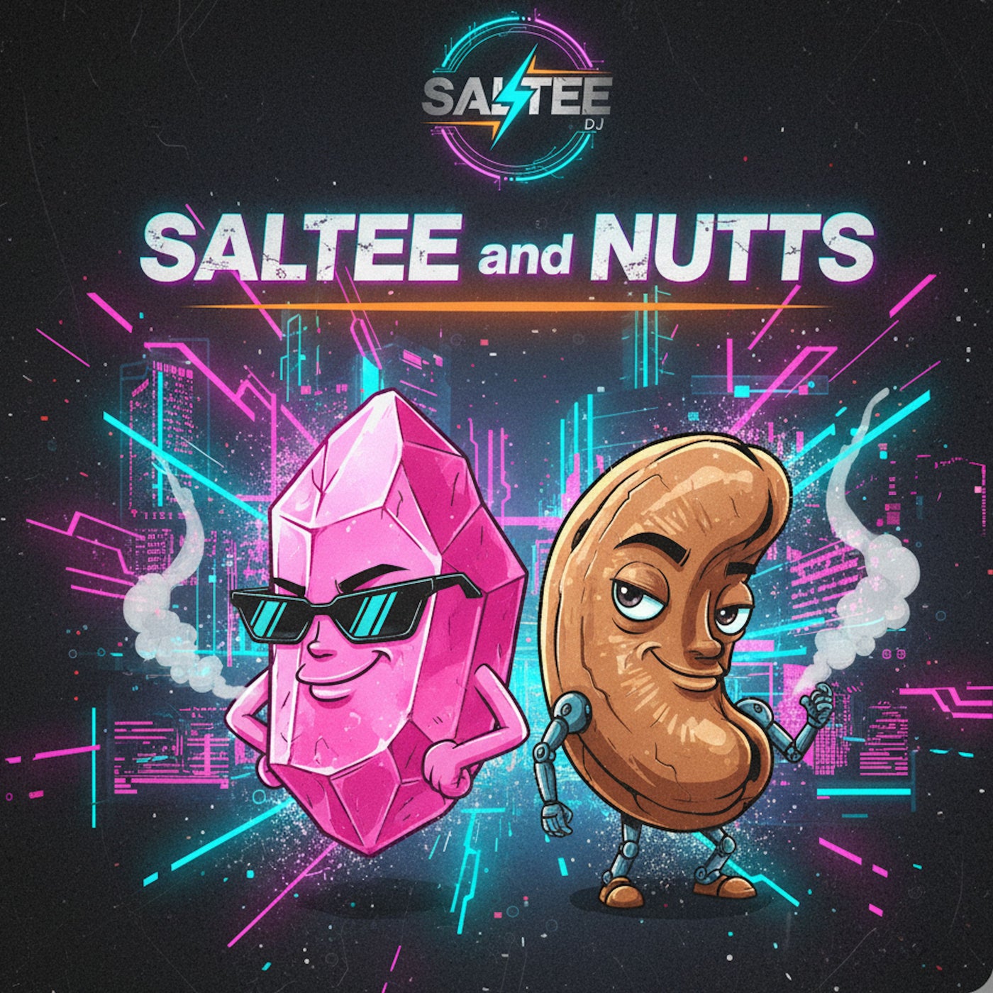 Cover art for SALTTE N NUTS (Instrumentals)