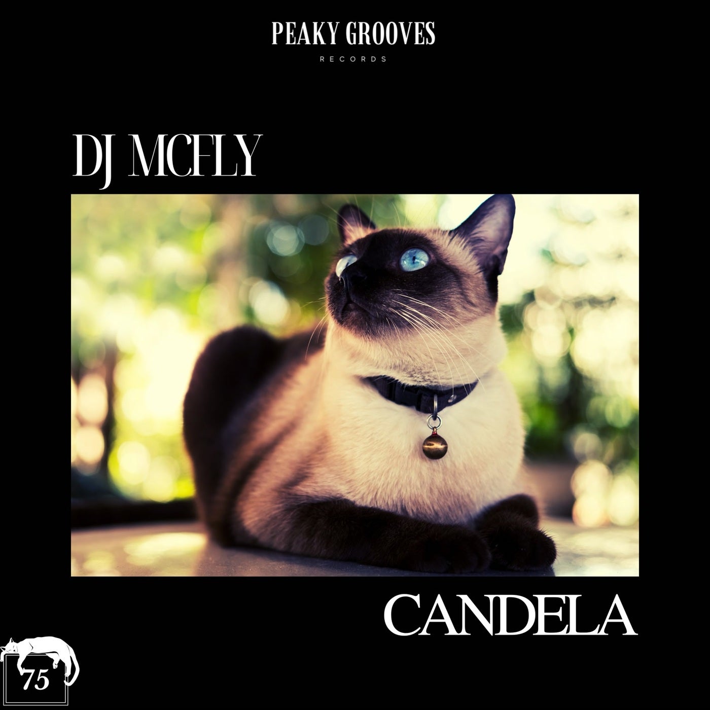 Candela