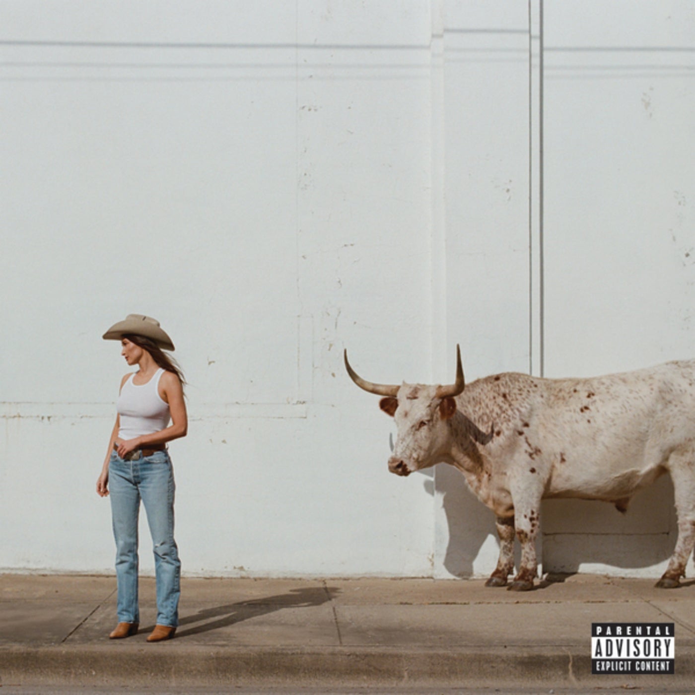 Country preview 4