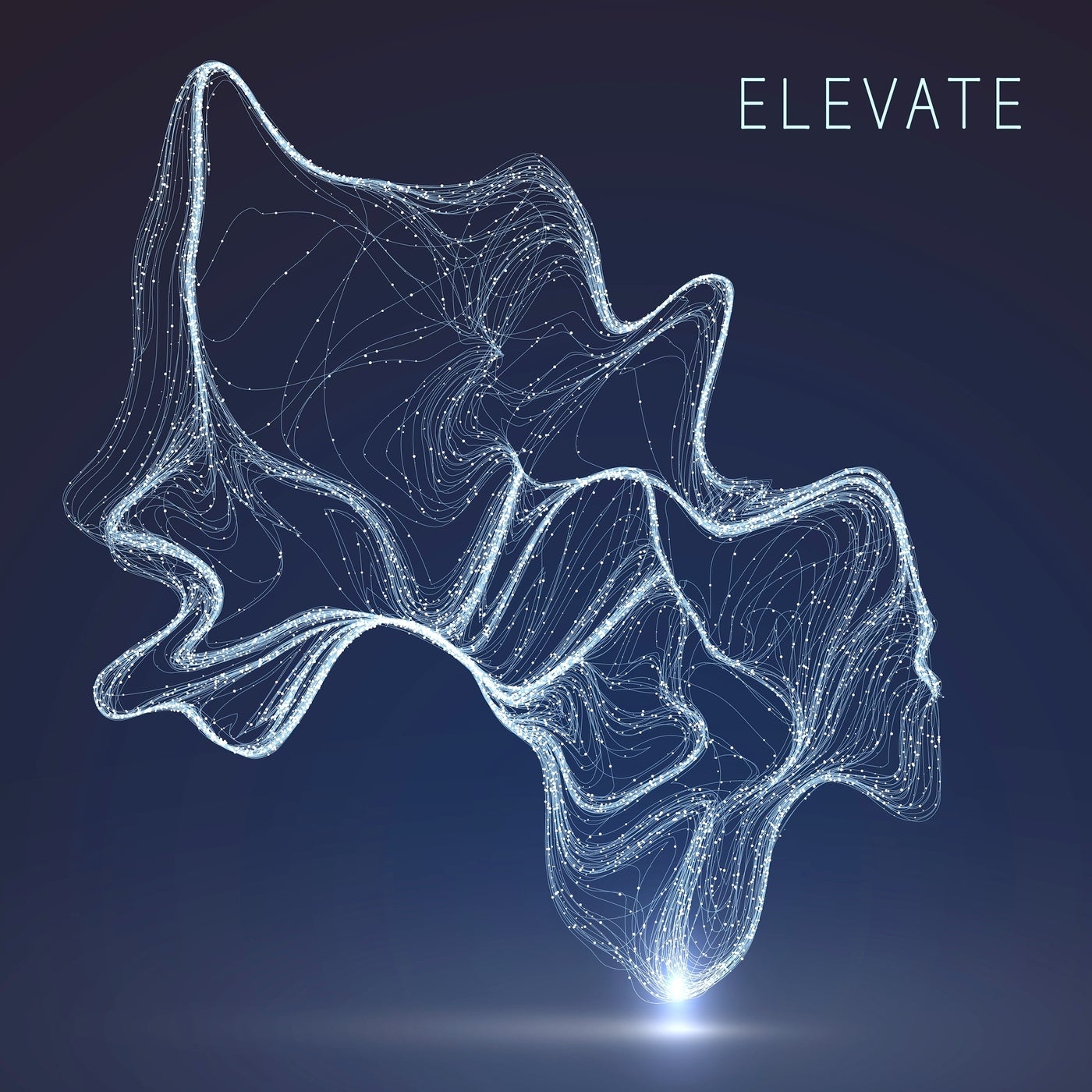 Elevate