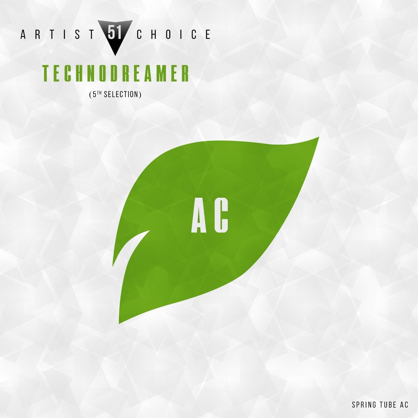 Artist Choice 051. Technodreamer (5th Selection)