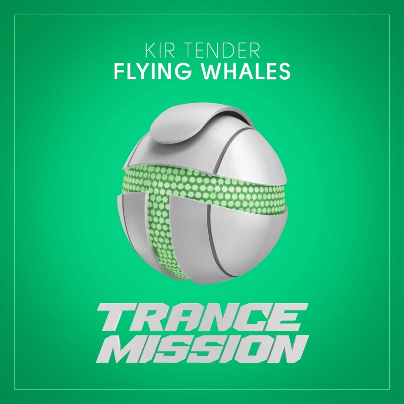 Flying Whales (Extended Mix)