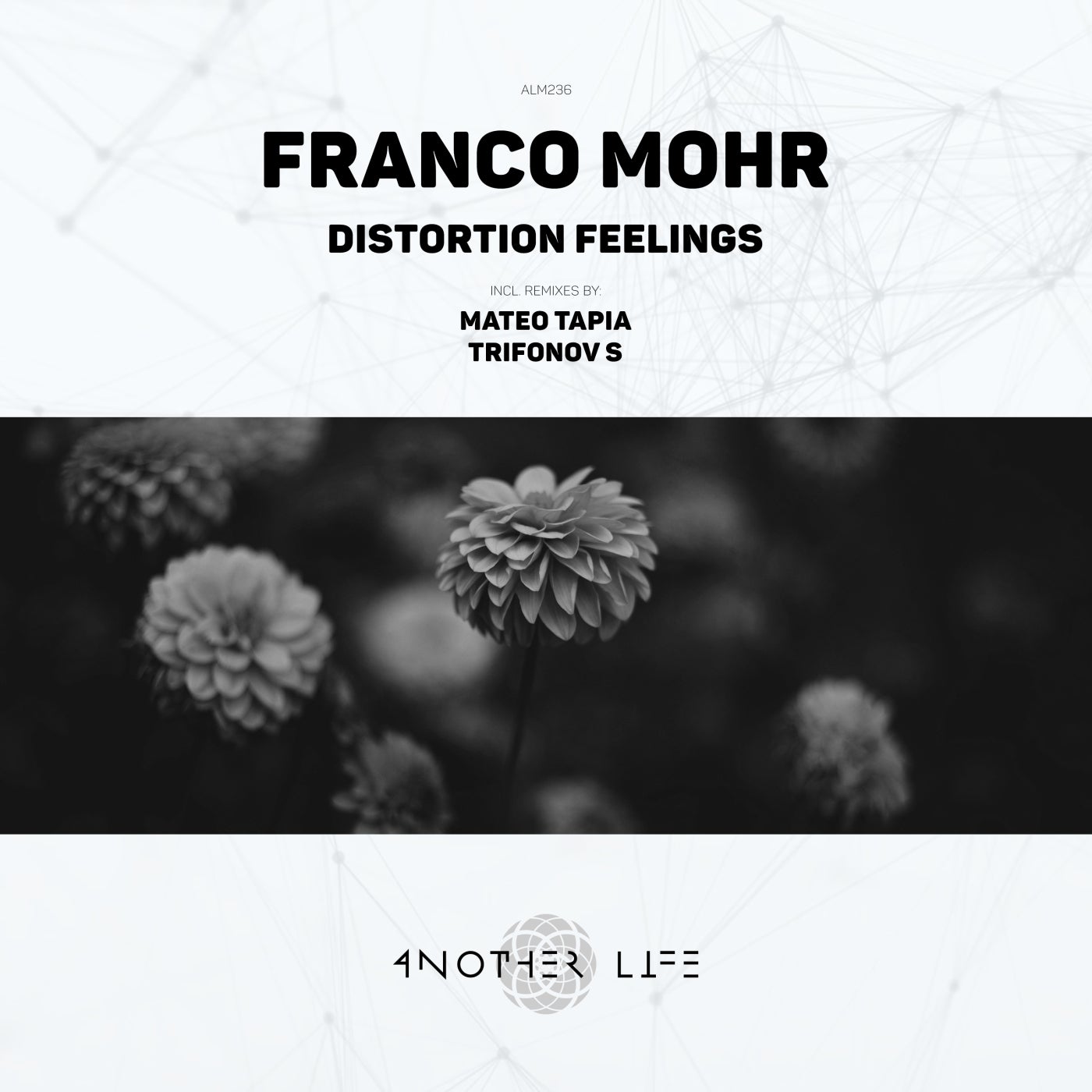 Cover art for Distortion Feelings