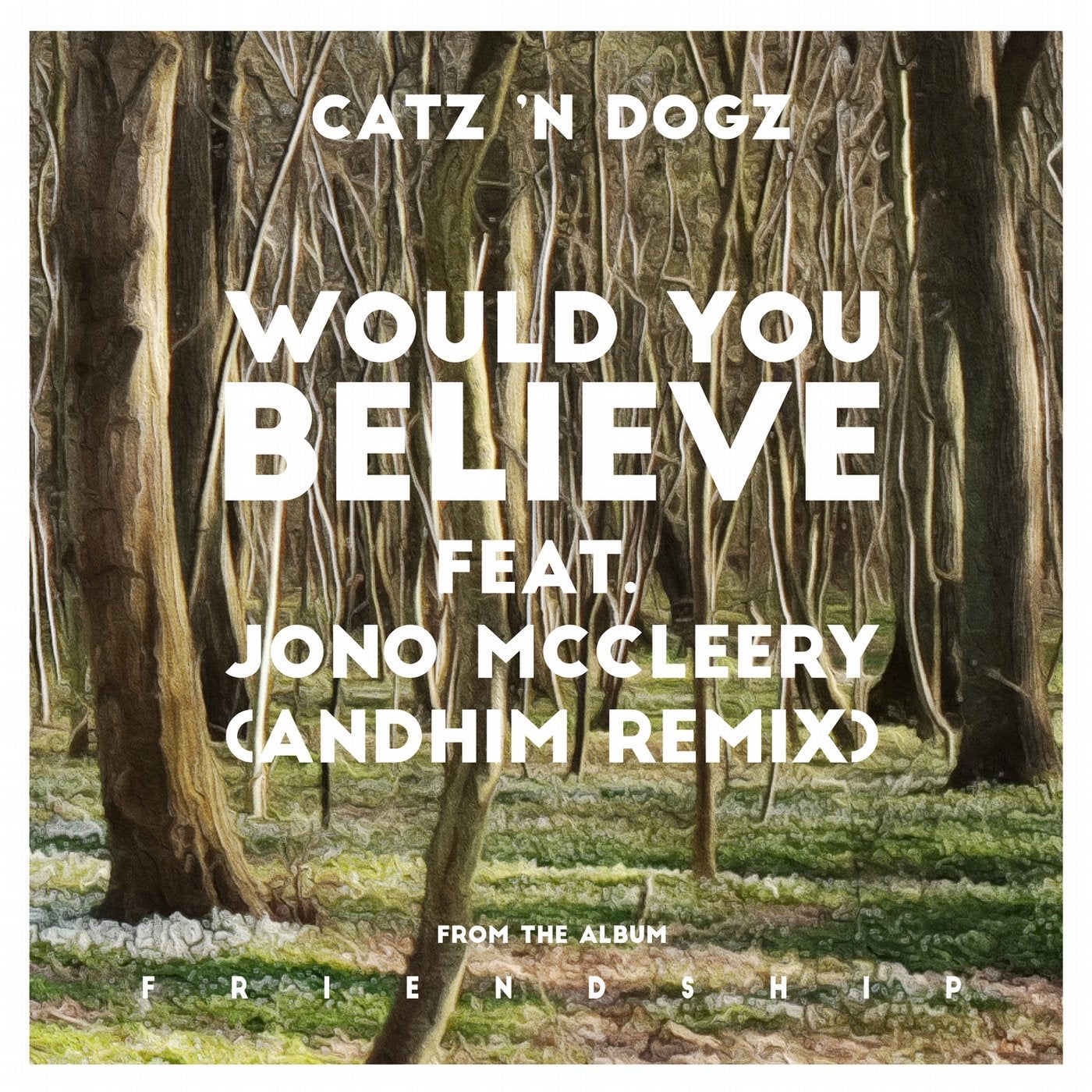 Would You Believe feat. Jono McCleery (andhim Remix)