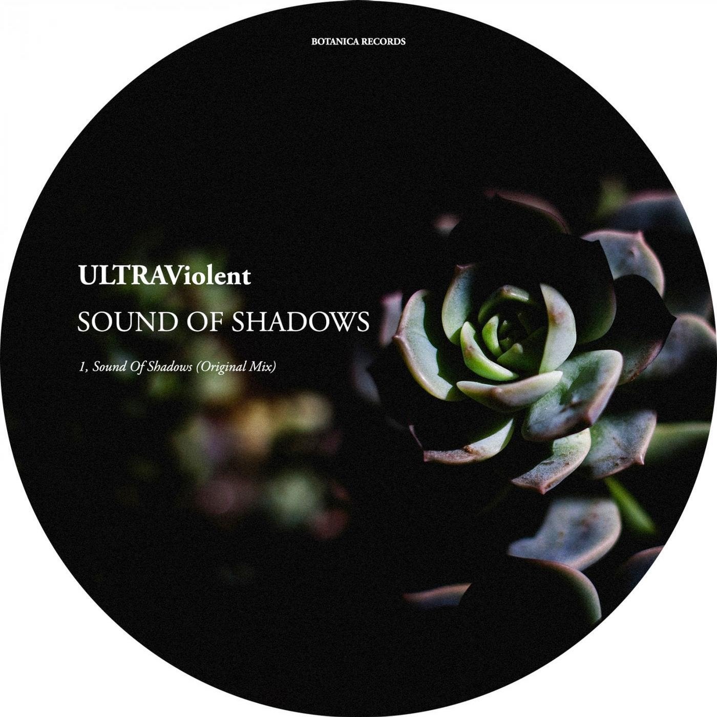 Sound Of Shadows