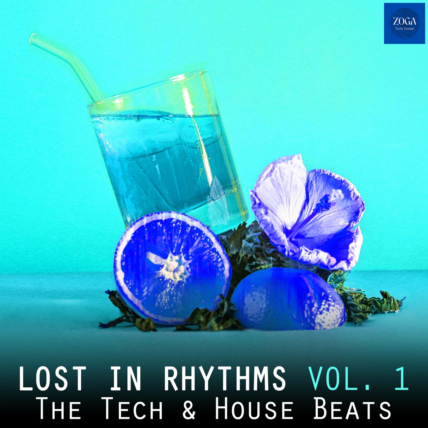 Lost in Rhythms, Vol. 1 (The Tech & House Beats)