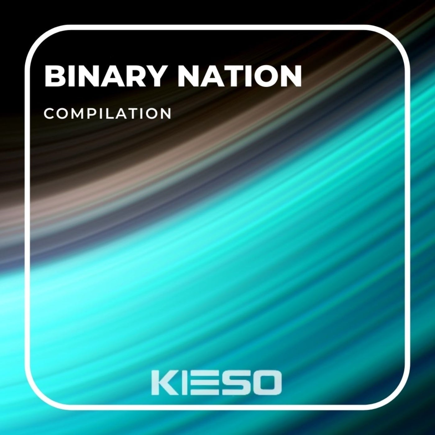 Binary Nation