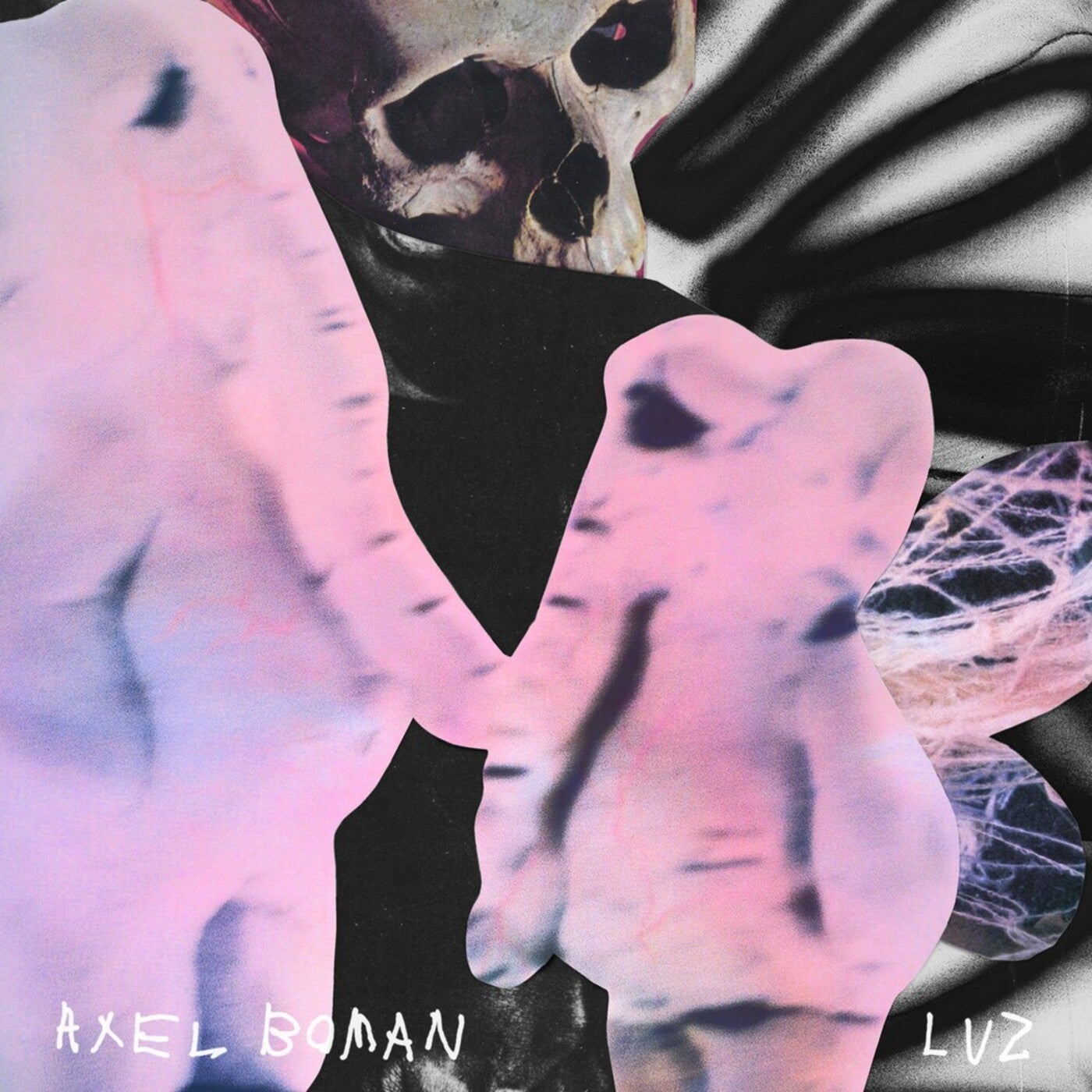 Cover art for LUZ