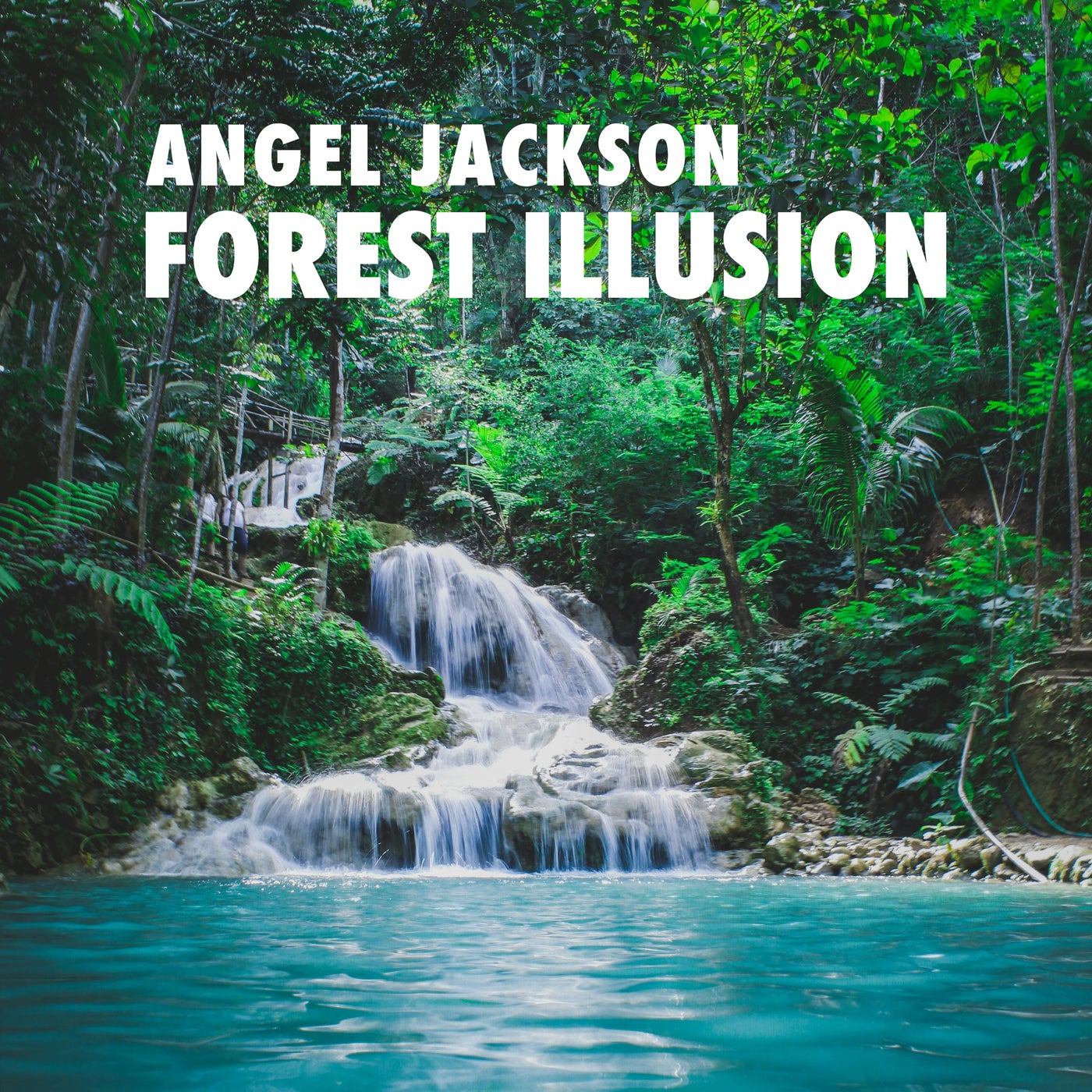 Forest Illusion