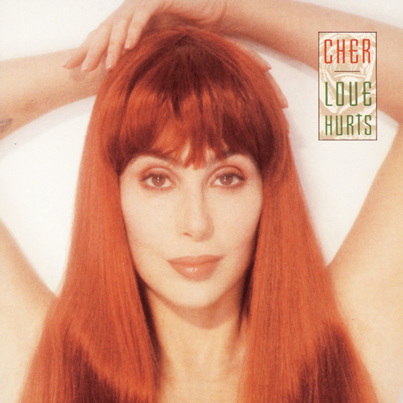 Cover art for Love Hurts