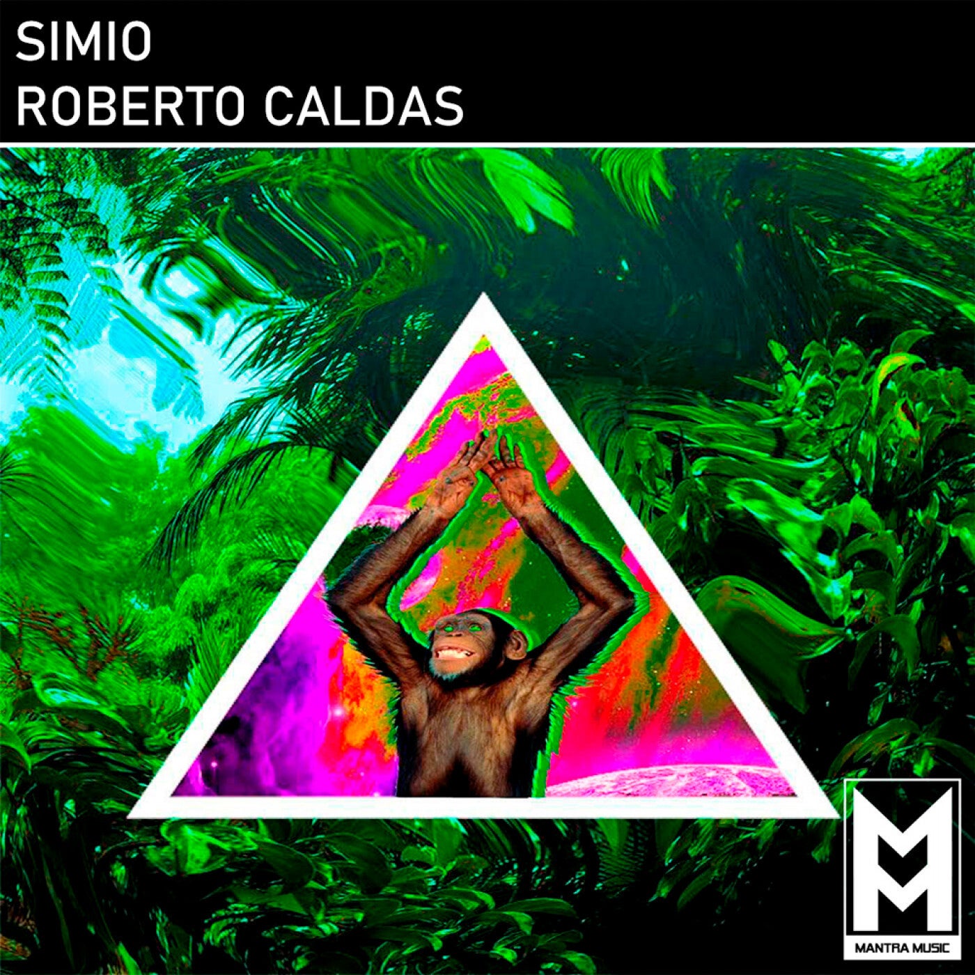 Simio
