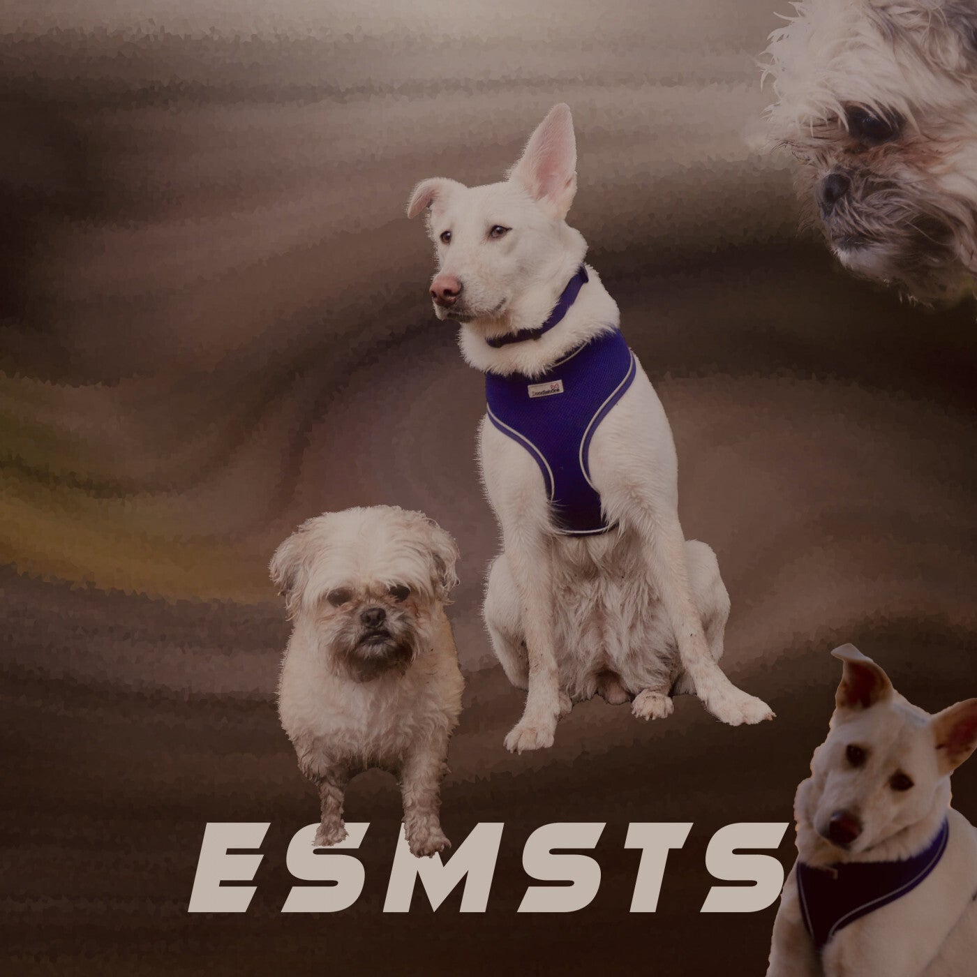 ESMSTS