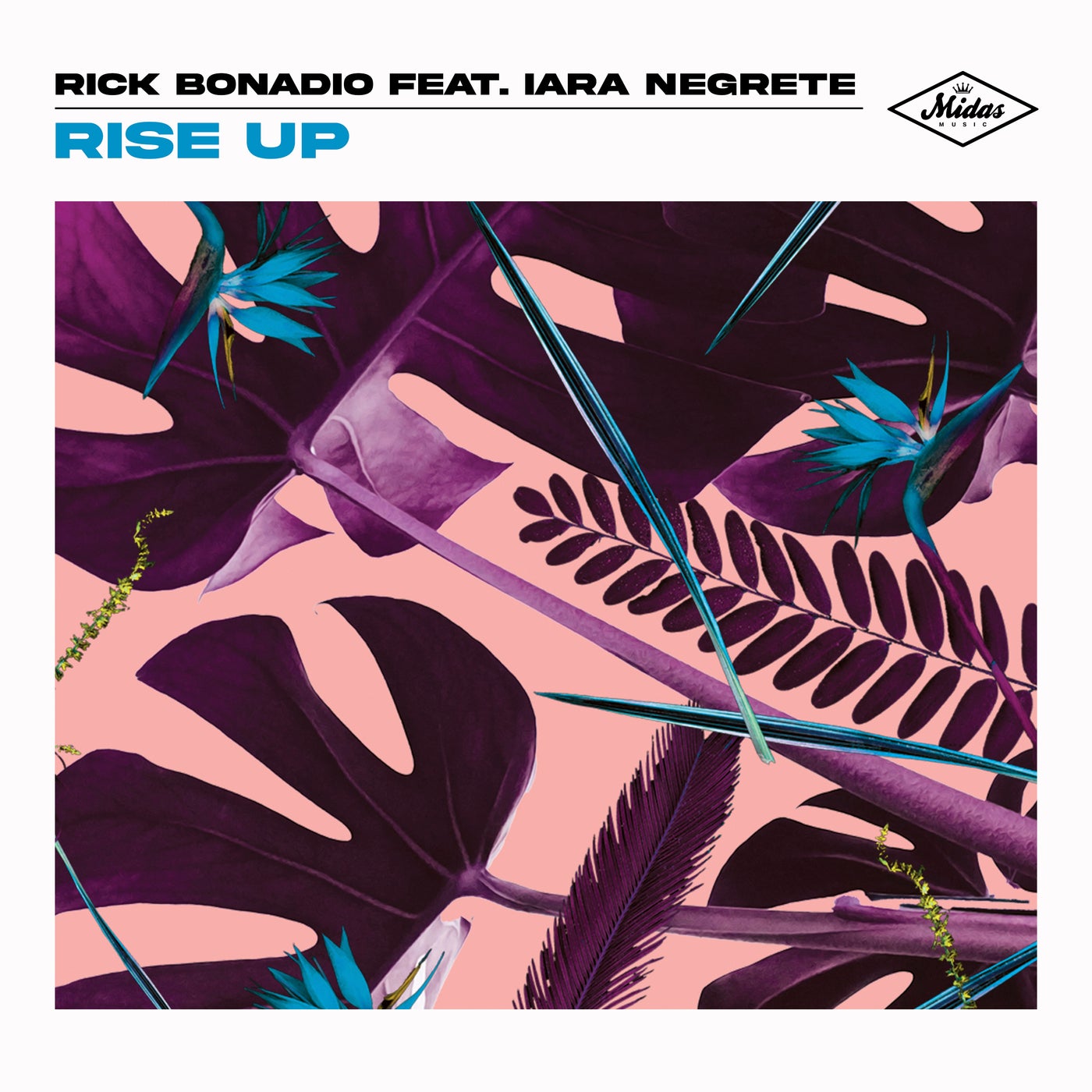 Rise Up (Extended Mix)