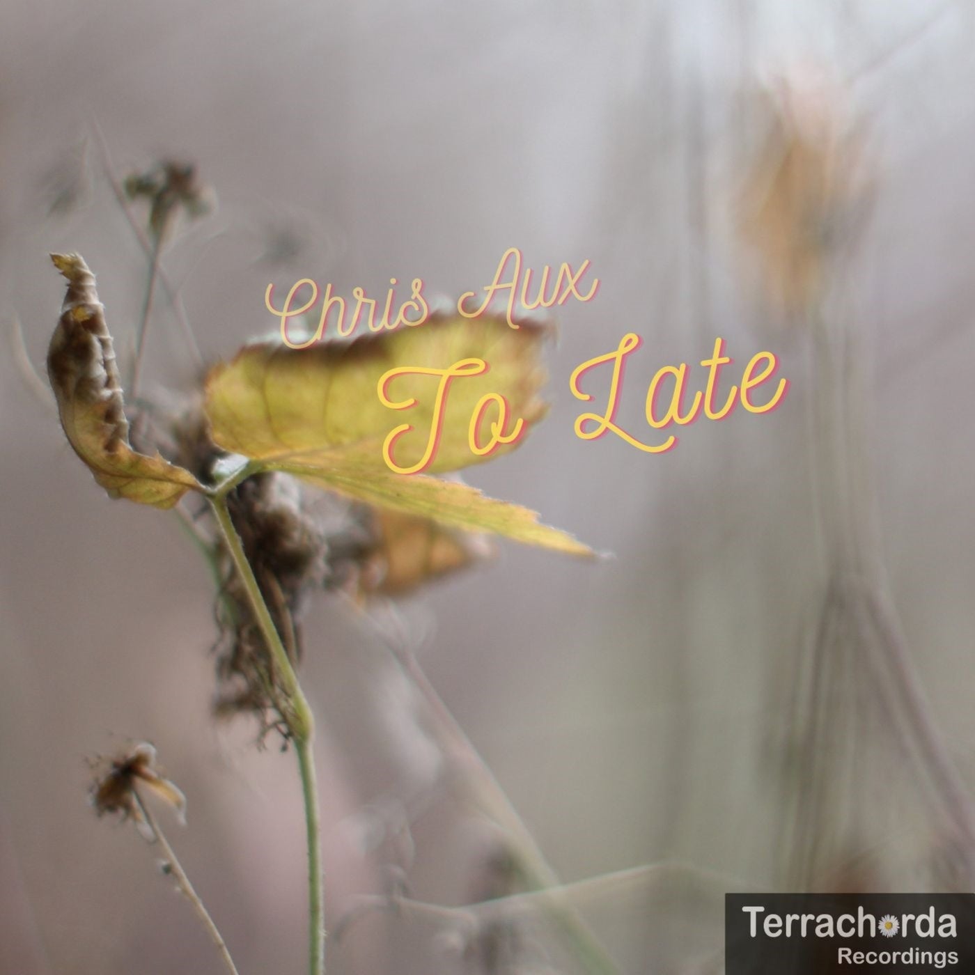 To Late