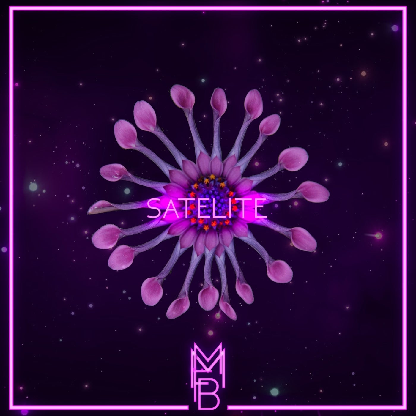 Satelite