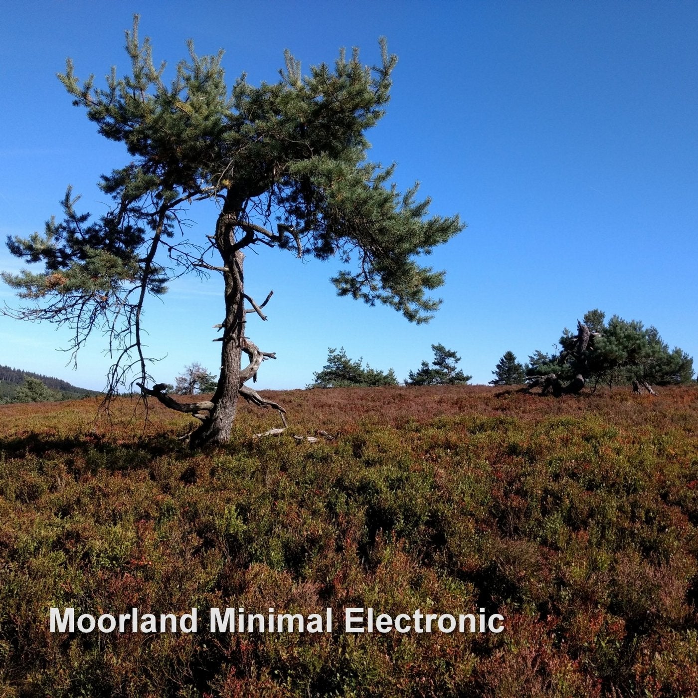Moorland Minimal Electronic