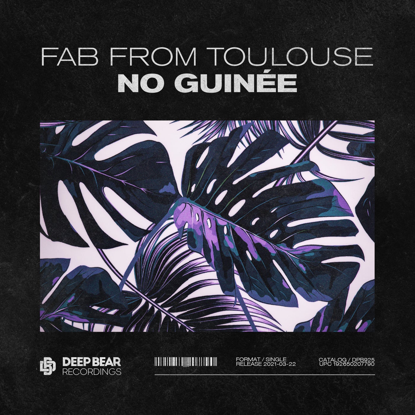 No Guinée