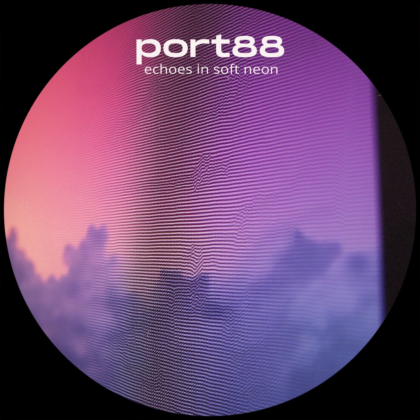 echoes in soft neon