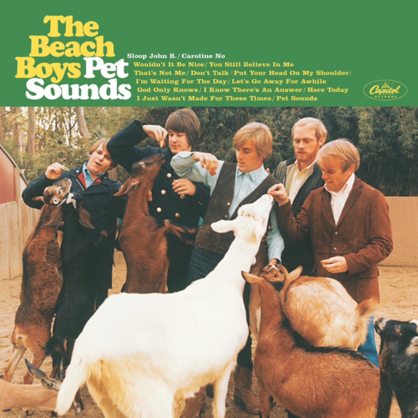 Cover art for Pet Sounds